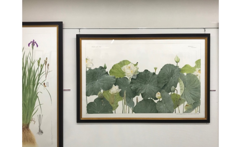 野村義照、【ベネチアの朝】、希少な額装用画集より、状態良好、新品額装付 0CAB7F5E-62C4-498E-8573-